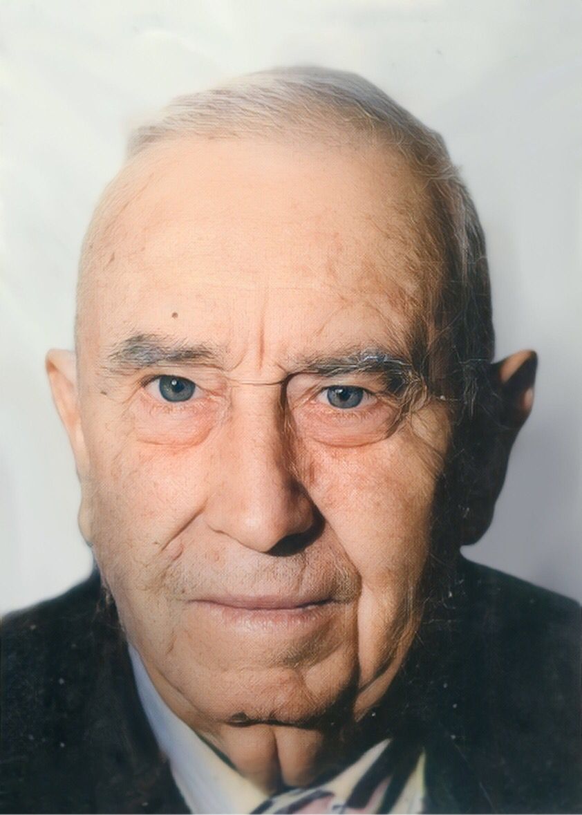Gabriele Fagnani